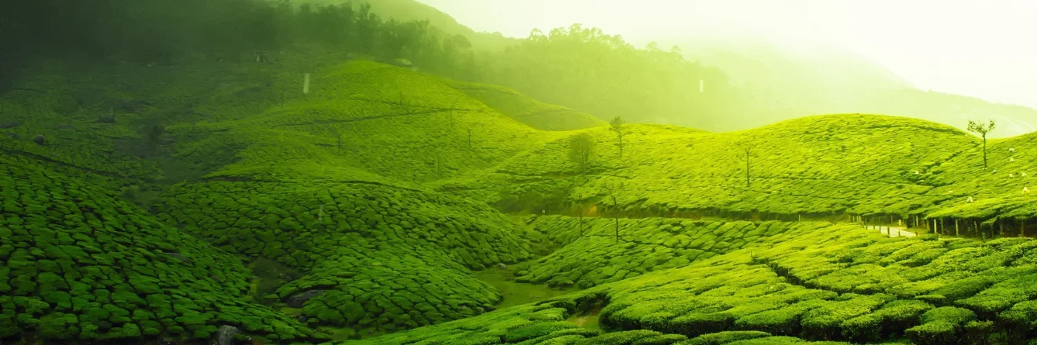 Rural Tourism